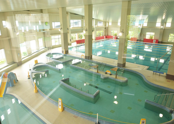プール全景