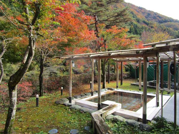 西山温泉　湯島の湯